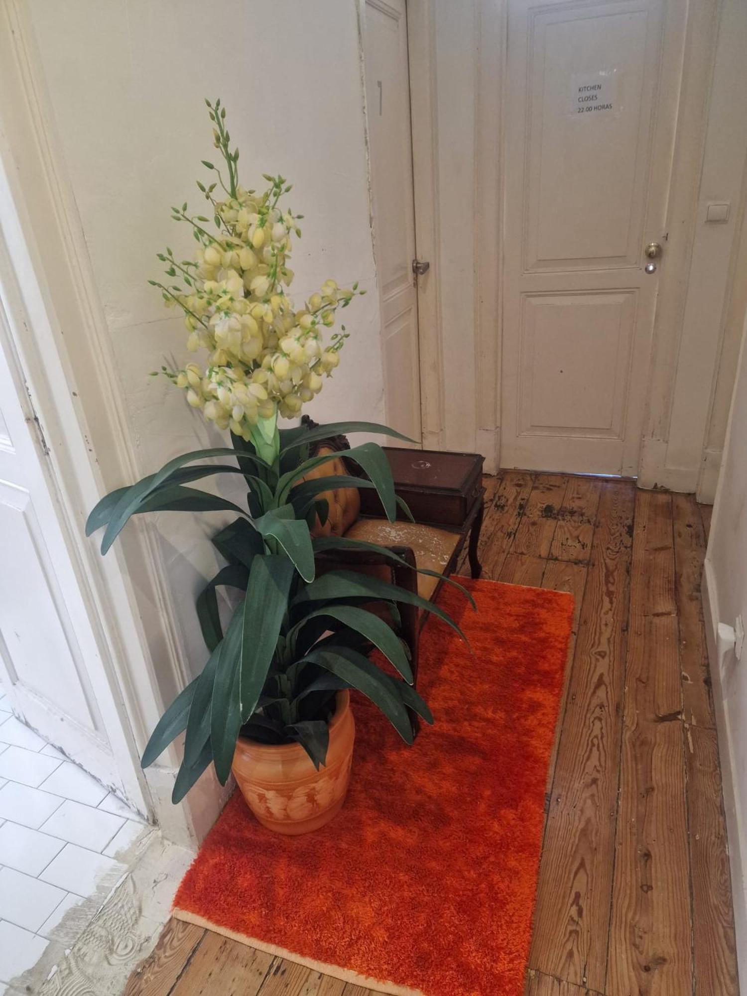 D&n Hostel Lissabon